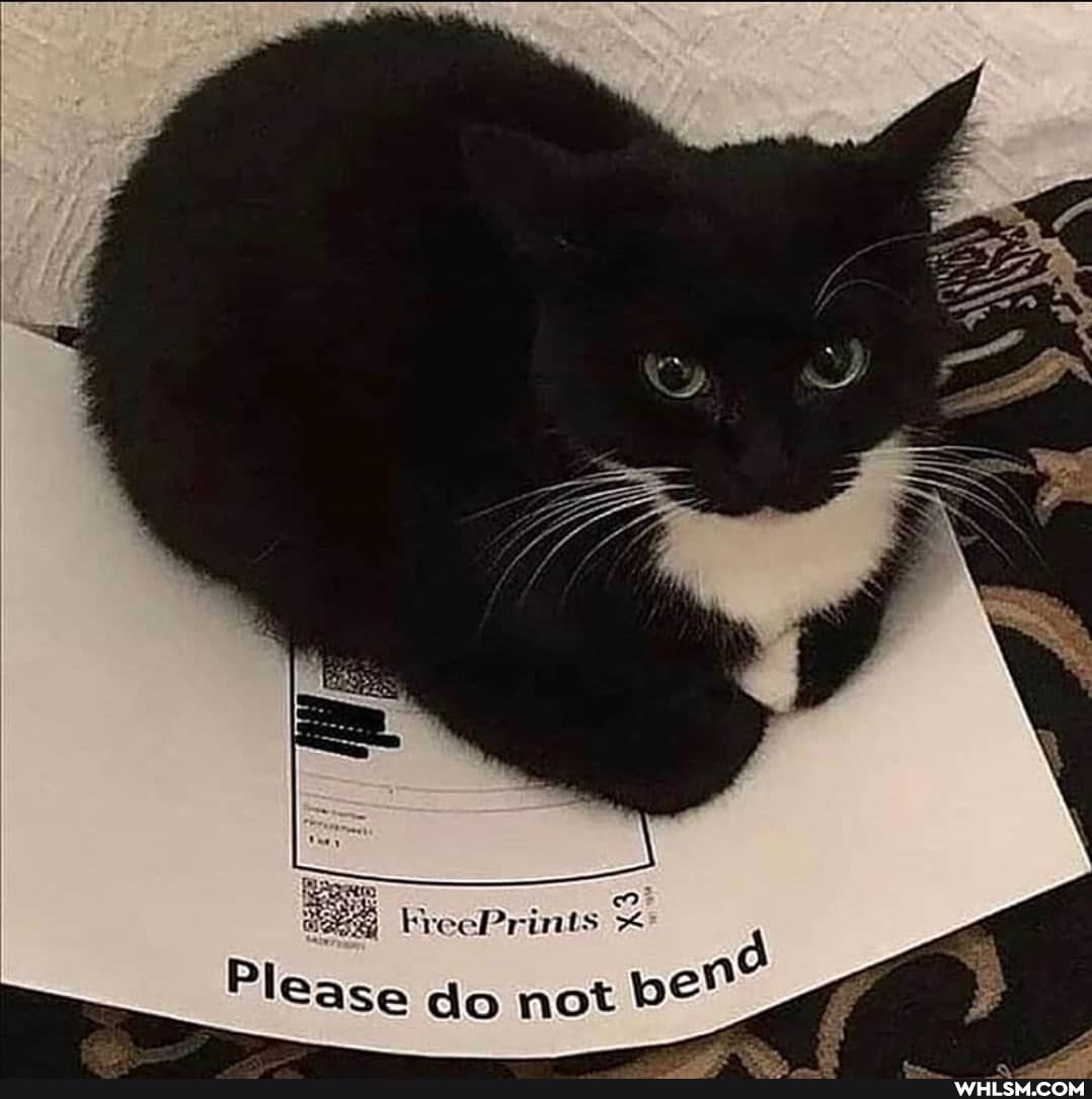 rintts
Please do not pen?