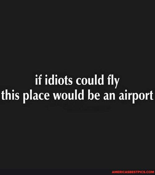 if idiots could fly this place would be an airport