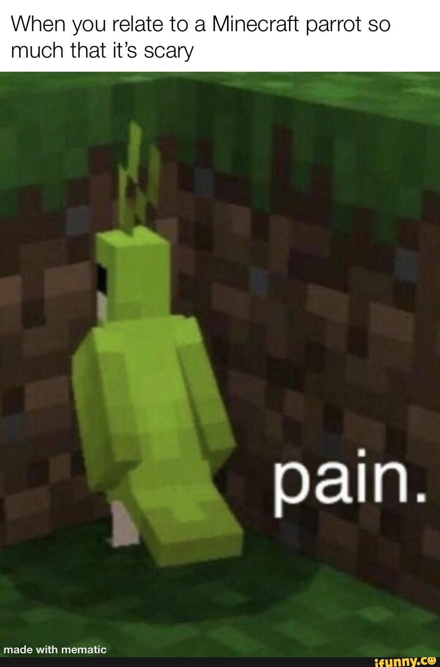 When You Relate To A Minecraft Parrot So Much That It S Scary Pain Ifunny