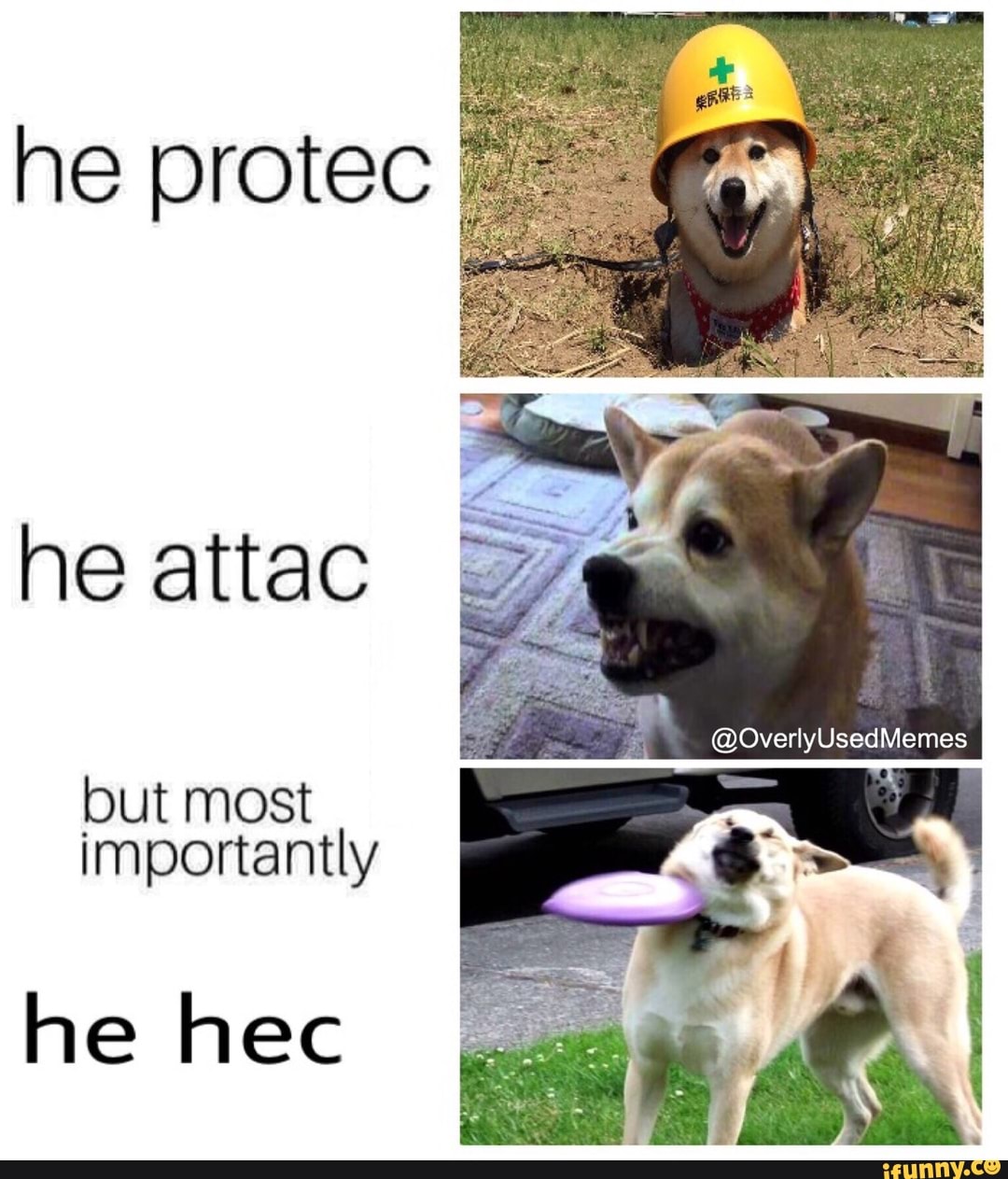 Also protects. He protecc. He protect he Attack but most importantly Мем. He Protec he Attack. He protecc he Attacc but most importantly...