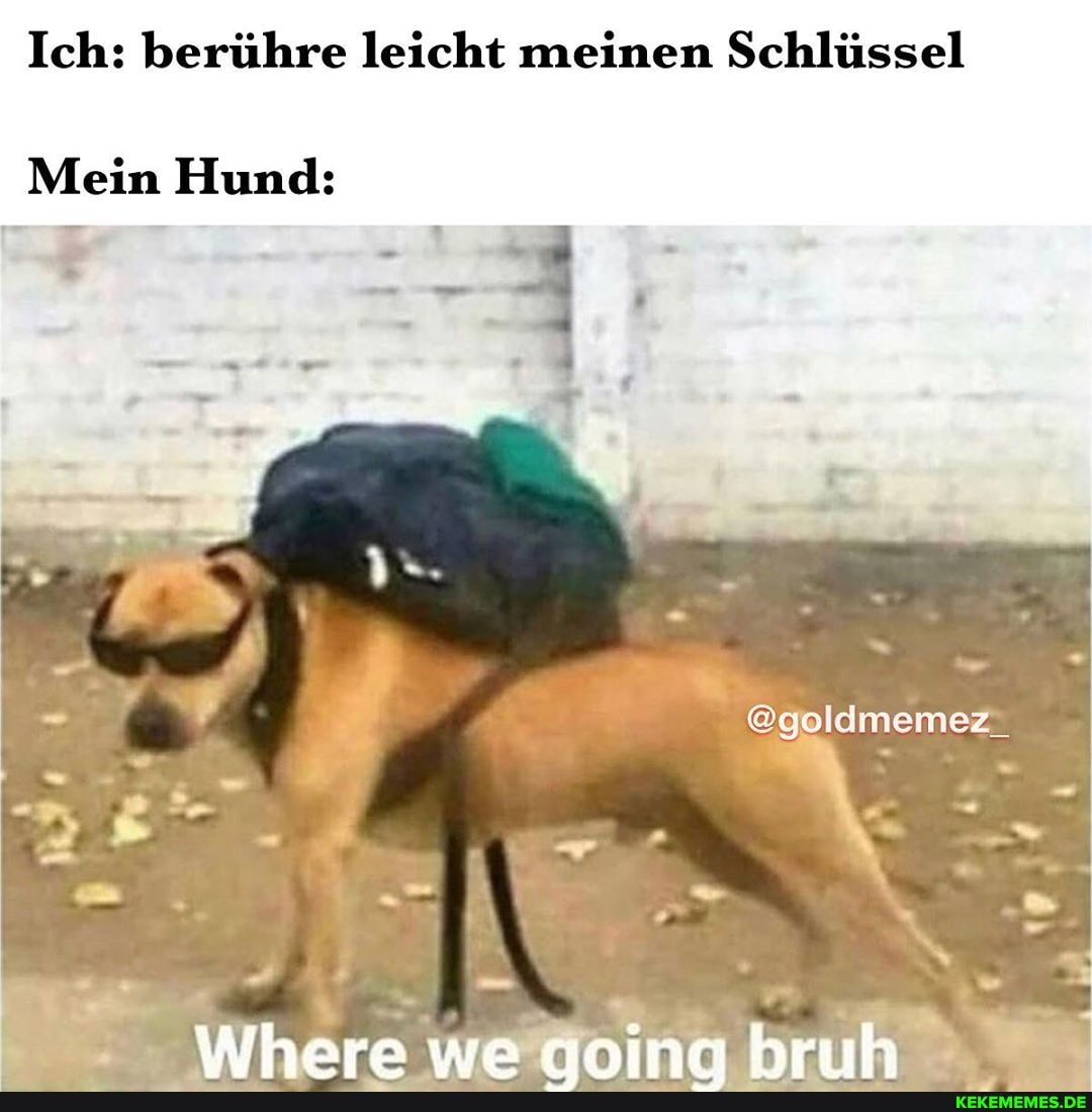 Ich: berühre leicht meinen Schlüssel
@geldmemez_
we
Mein Hund: