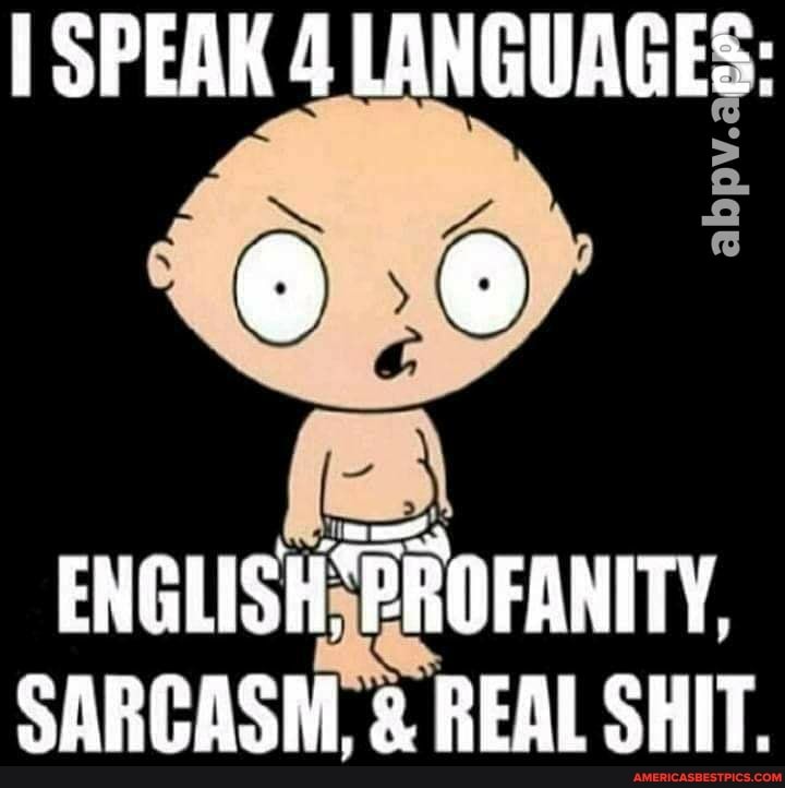 SPEAK 4 LANGUAGES:
2.
~ A 'He
ENGLISHSPROFANITY,
SARCASM& REAL SHIT.