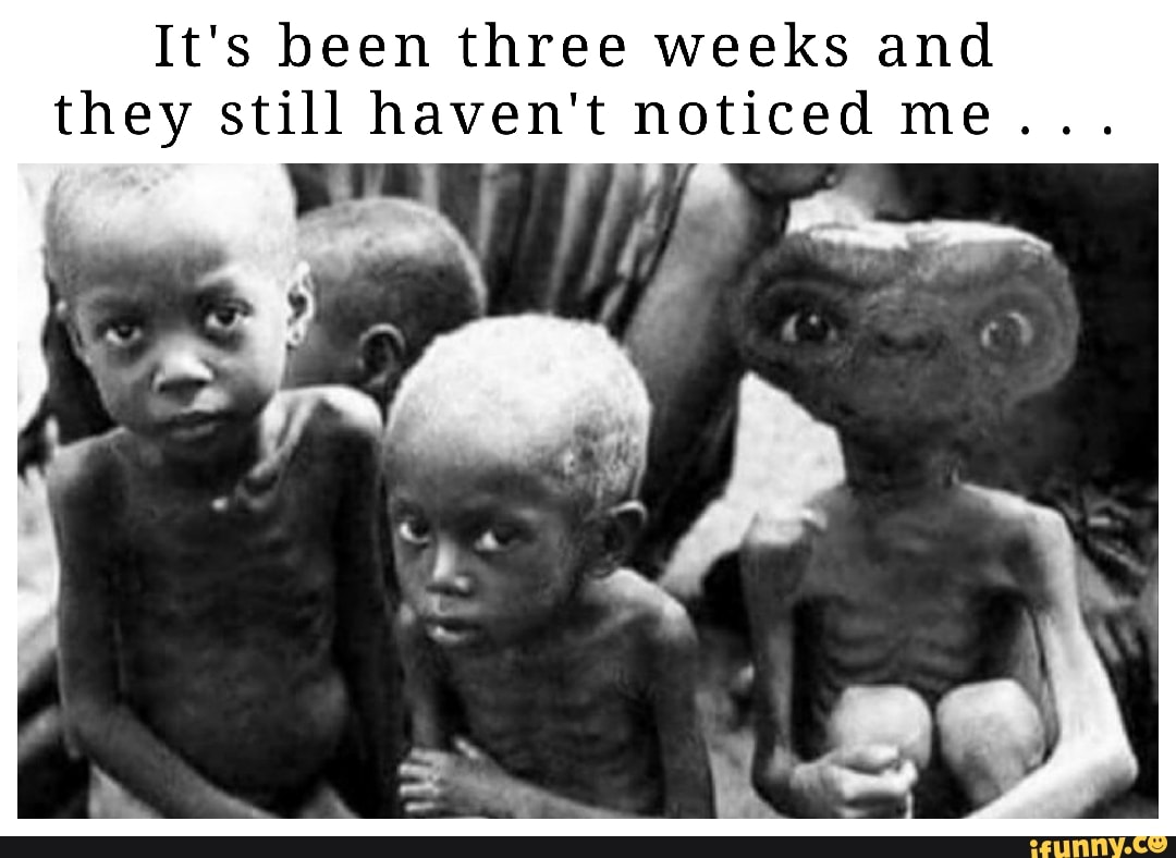 It's been three weeks and they still haven't noticed me...
peg