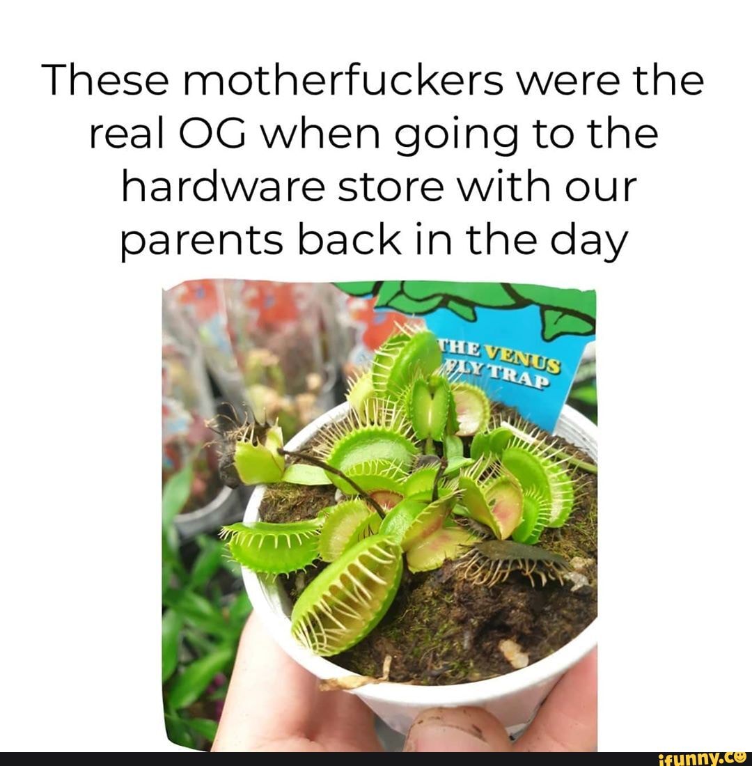 These motherfuckers were the
real OG when going to the
hardware store with our
parents back in the day
Cad