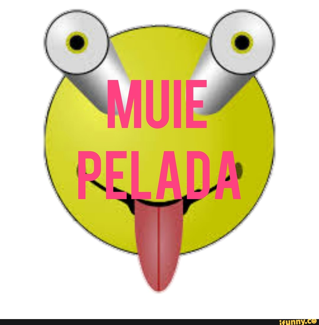 shitpost, memesengraçados, shitpostbr