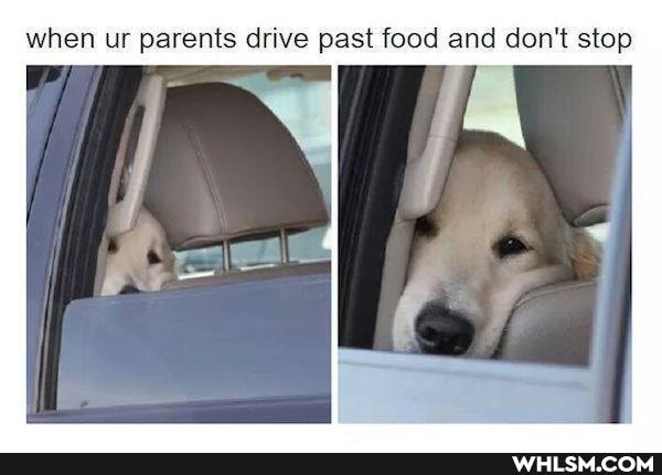 when ur parents drive past food and don't stop