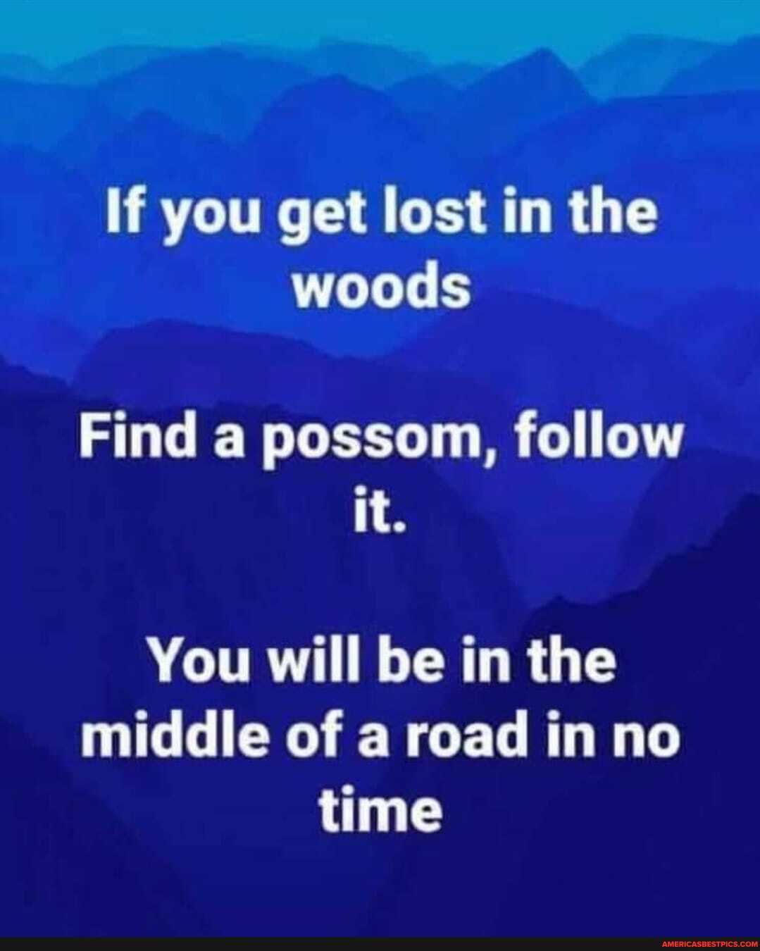 If you get lost in the woods
Find a possom, follow it.
You will be in the middle of a road in no time
