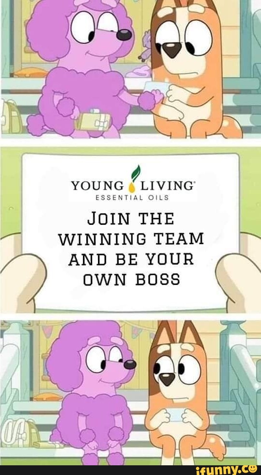 Mlm memes. Best Collection of funny Mlm pictures on iFunny