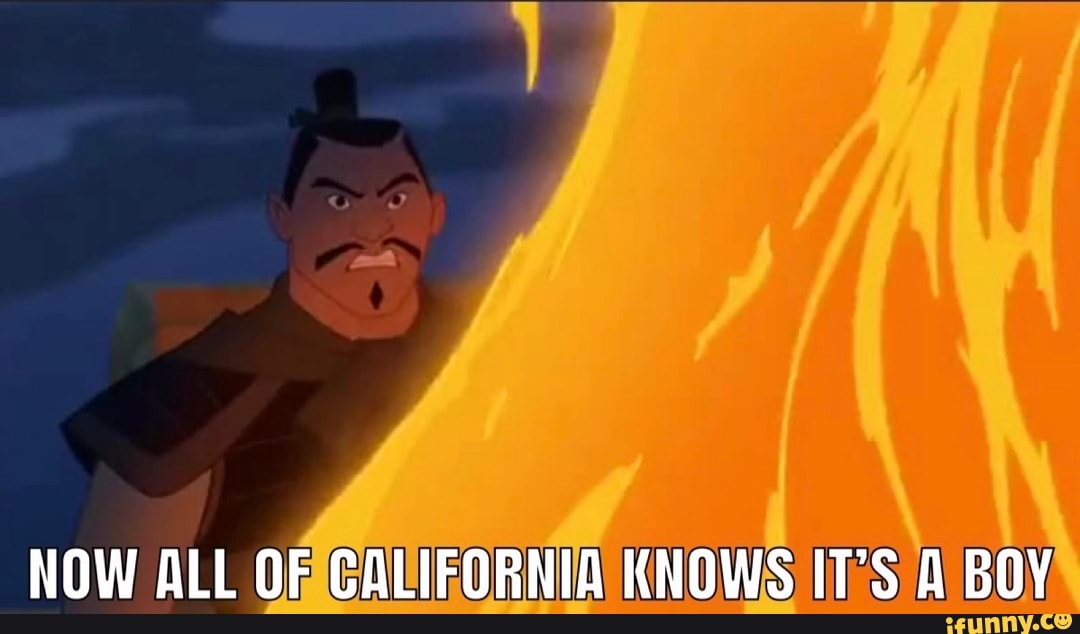 NOW ALL OF CALIFORNIA KNOWS IT'S A BOY