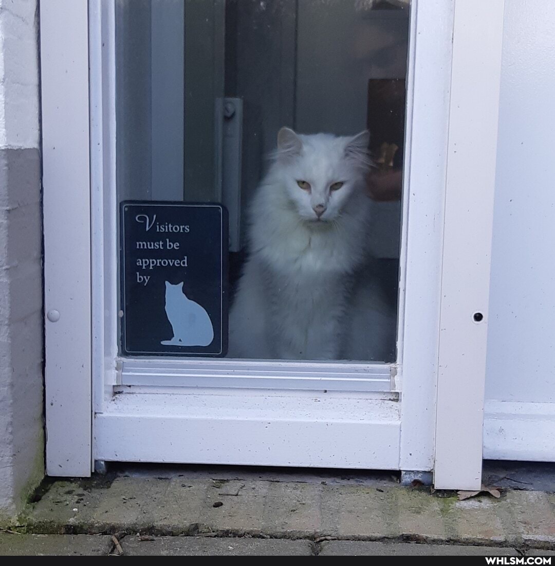 "Visieors
must be approved by