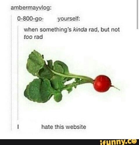 ambermayviog:
0-800-go- yourself:
when something's kinda rad, but not
too rad
1 hate this website