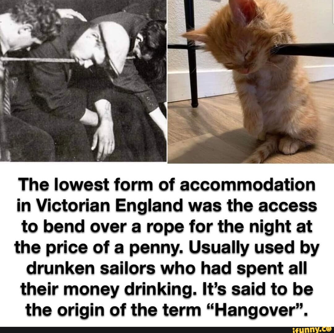 the-lowest-form-of-accommodation-in-victorian-england-was-the-access-to