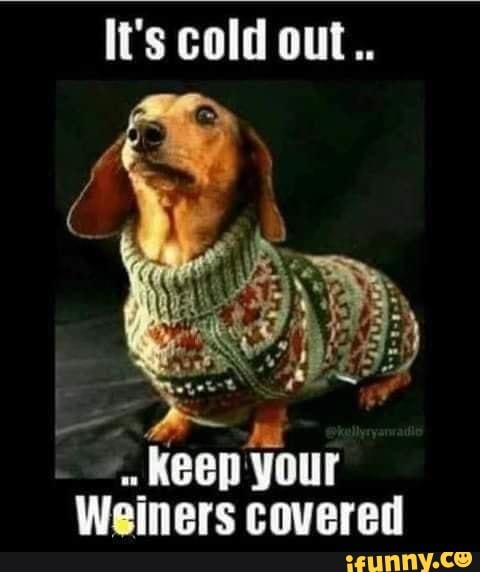 Its Cold Out Keep Your Weiners Covered Ifunny Brazil 2536