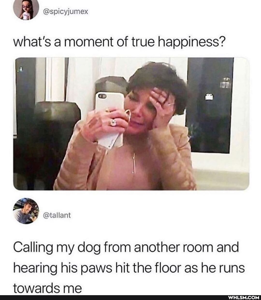 @spicyjumex
what's a moment of true happiness?
Calling my dog from another room and hearing his paws hit the floor as he runs
trvnsarnice ma