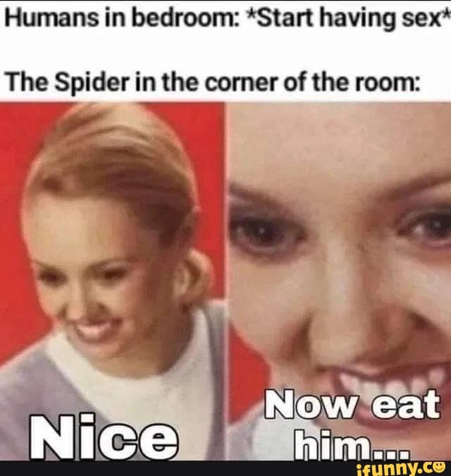 Humans in bedroom: *Start having sex*
The Spider in the comer of the room:
Now eat