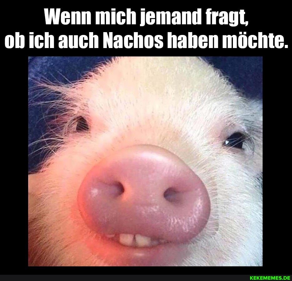 Wenn mich jemand fragt, ob ich auch Nachos haben möchte.