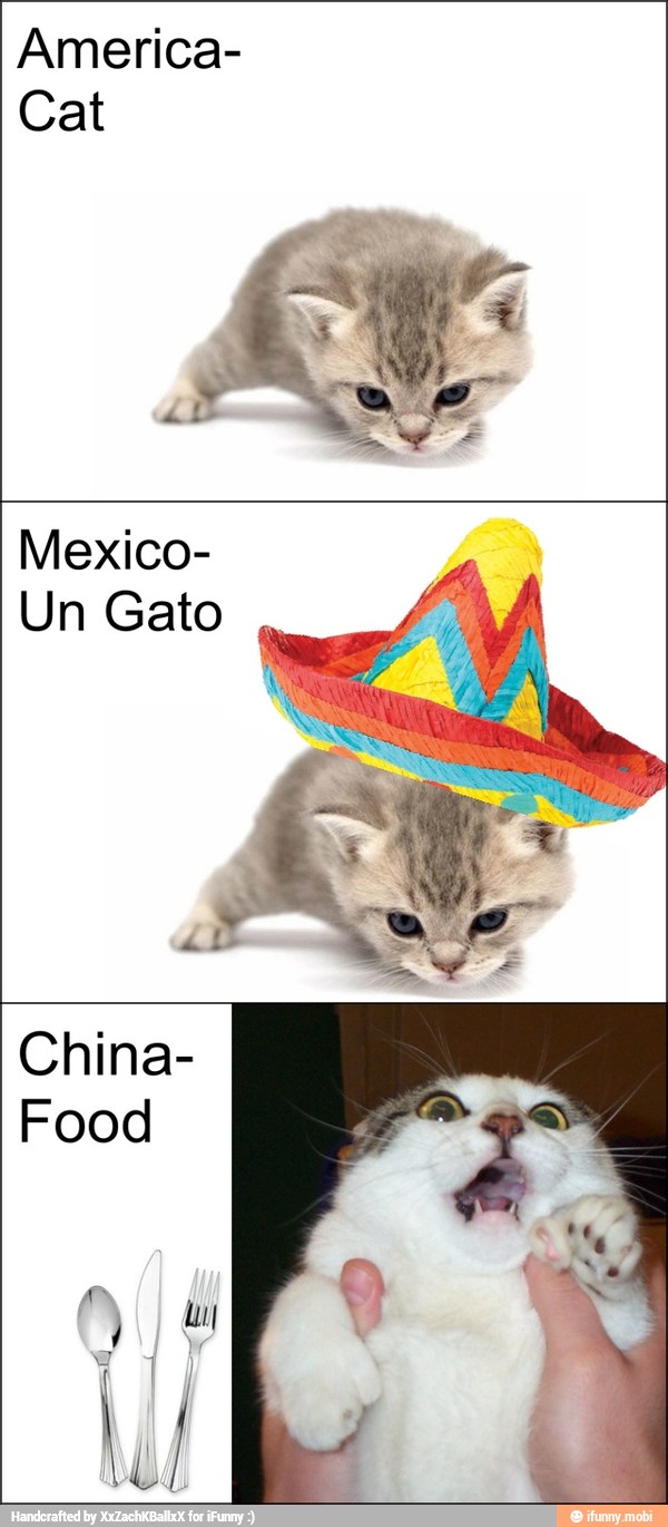America-
Cat
Mexico-