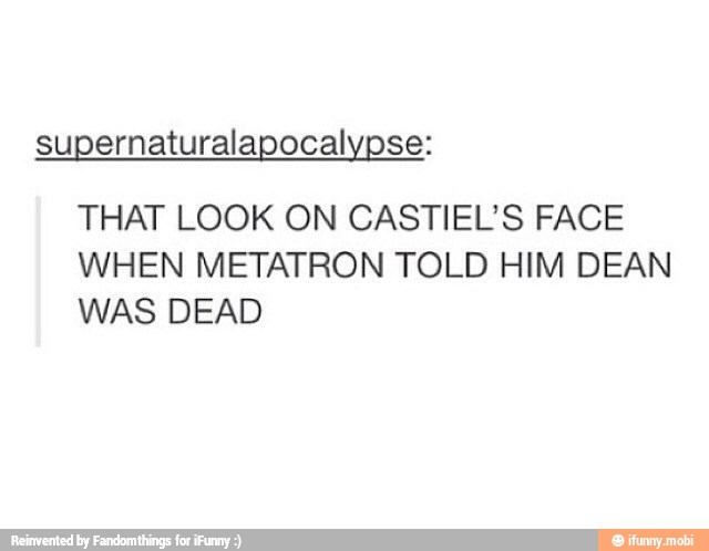 supernaturalapocalypse:
THAT LOOK ON CASTIEL'S FACE
WHEN METATRON TOLD HIM DEAN
WAS DEAD