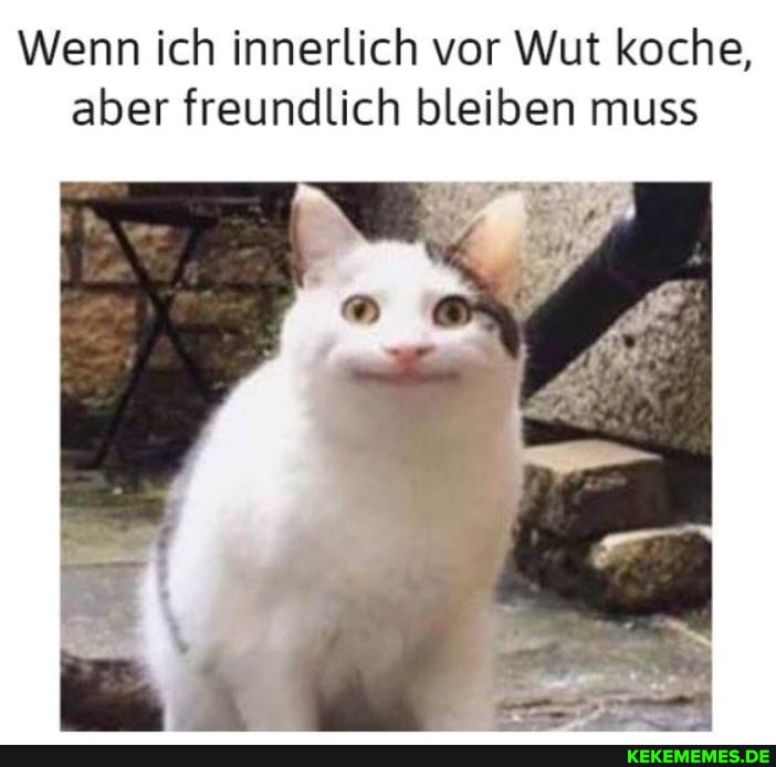 Wenn ich innerlich vor Wut koche, aber freundlich bleiben muss