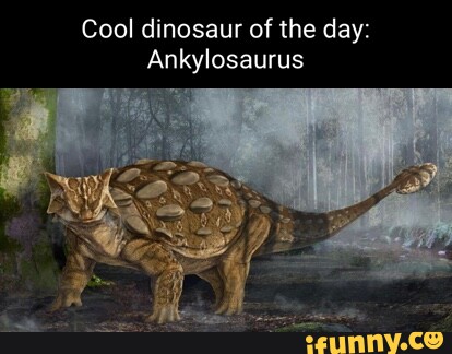 Ankylosaurus memes. Best Collection of funny Ankylosaurus pictures on ...