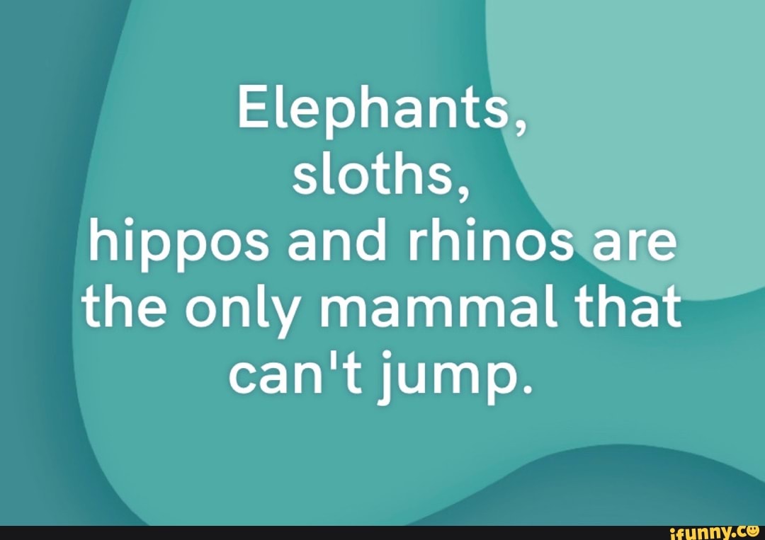 Elephants, sloths, hippos and rhinos are the only mammal that can't