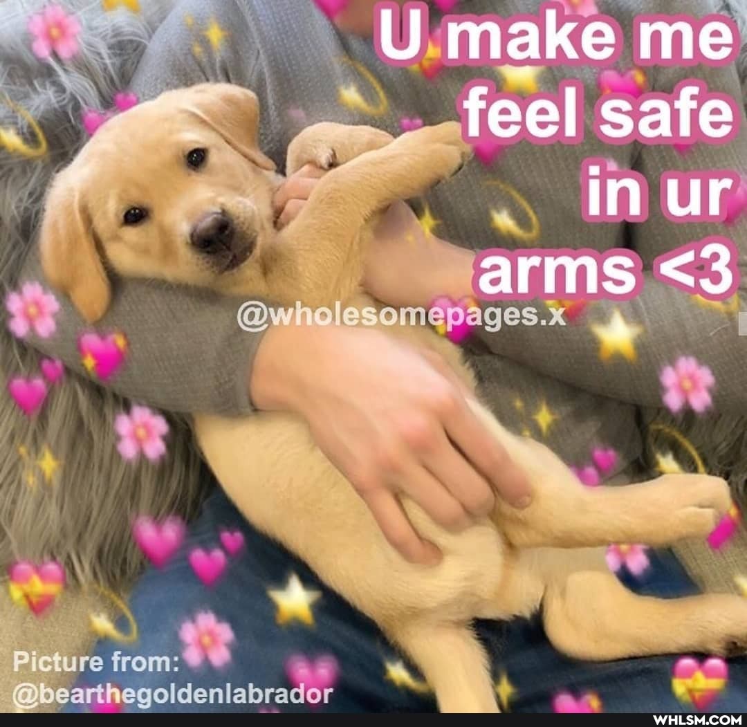 U make me feel safe
in ur
arms <3
re from:
adar