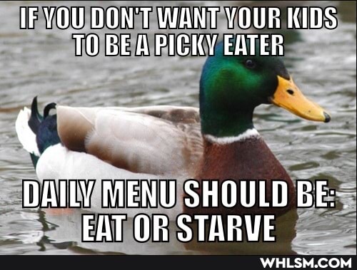 IF YOU DON'T WANT YOUR KIDS TO BE A PICKY EATER
DAILY MENU SHOULD BE:
EAT OB STARVE