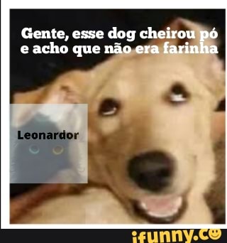 Gente, acho esse que dog não cheirou era farin pó e acho que não era farinha