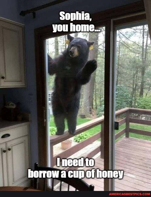 Sophia, you home...
Ineed to
borrow a cup of honey