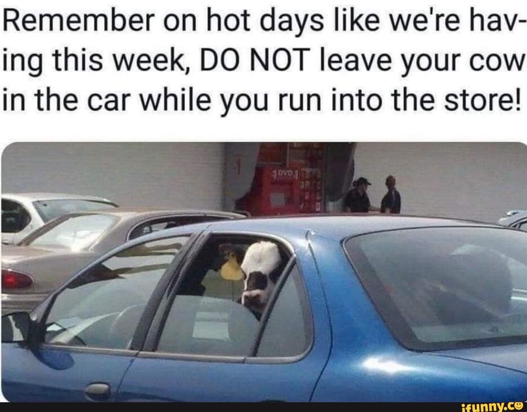 Remember on hot days like we're hav
ing this week, DO NOT leave your cow
in the car while you run into the store!