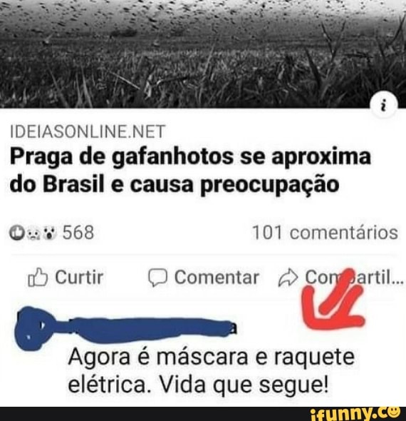 IDEIASONLINE.NET
Praga de gafanhotos se aproxima
do Brasil e causa preocupação
Agora é mascara e raquete
elétrica. Vida que segue!