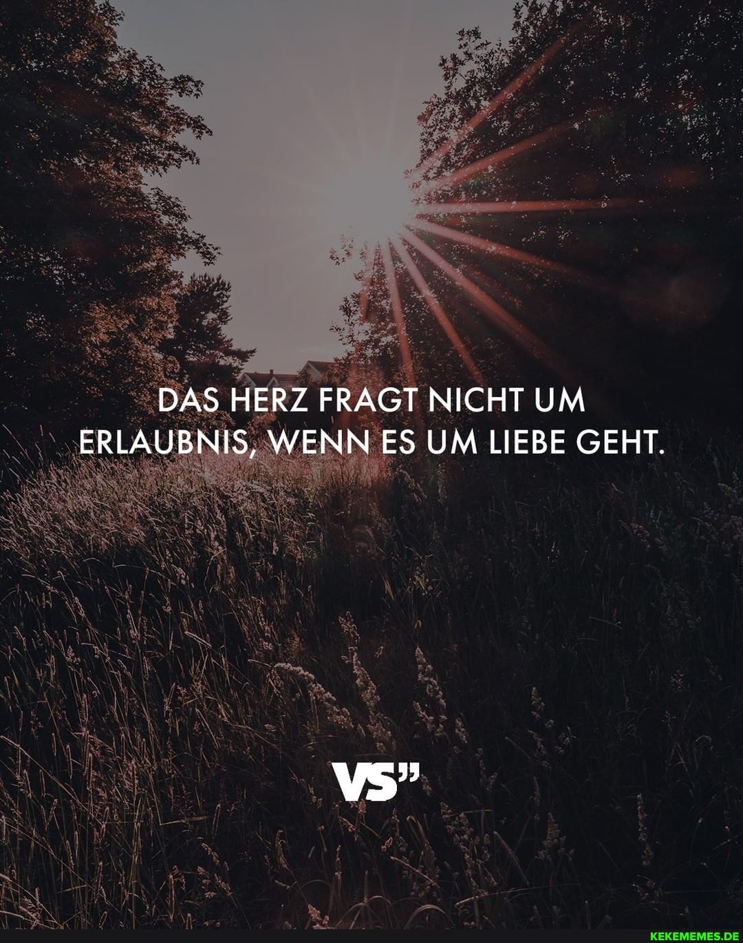 DAS HERZ FRAGT NICHT UM ERLAUBNIS, WENN ES UM LIEBE GEHT.