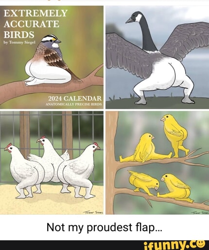 EXTREMELY ACCURATE BIRDS by Tomy Set 2024 CALENDAR Not my proudest flap...  - iFunny