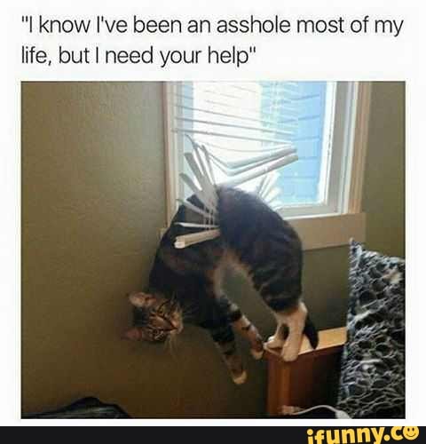 "I know I've been an asshole most of my
life, but I need your help"