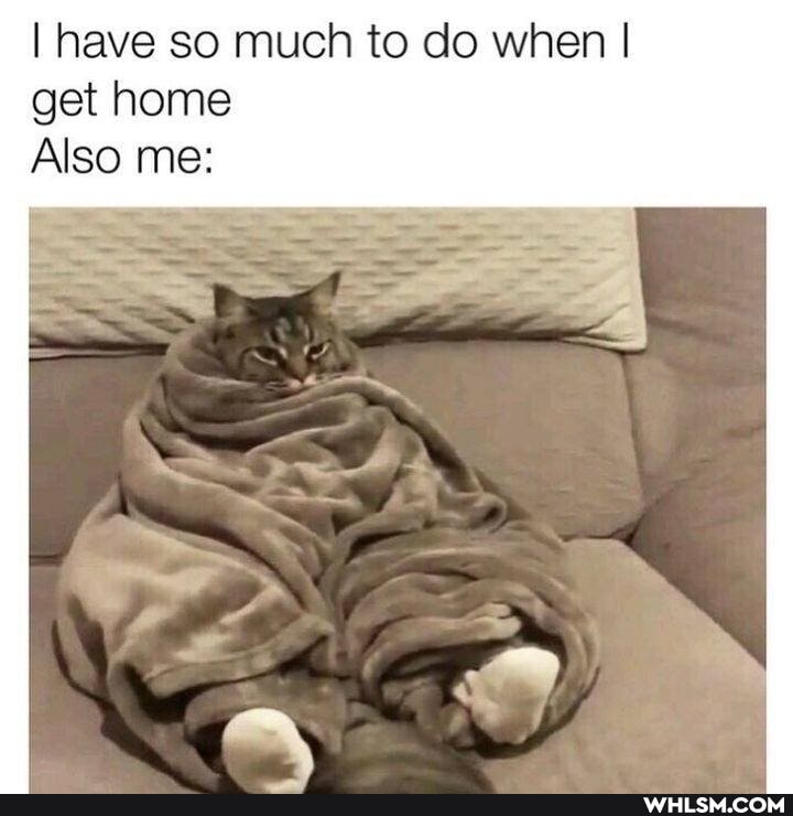 I have so much to do when I get home
Also me: