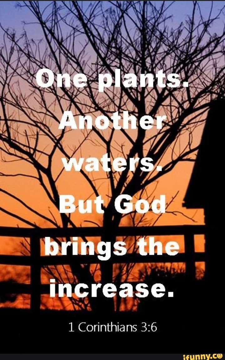 One Plants. Another Waters. But God Brings The Increase. Corinthians ...