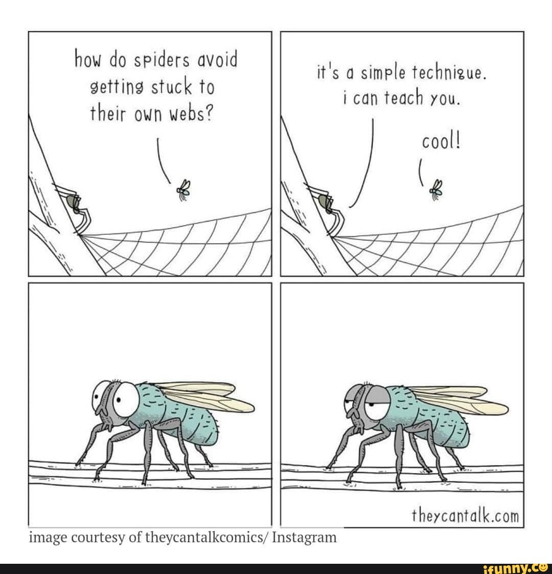 How do spiders avoid getting stuck to their own webs? it's a simple
