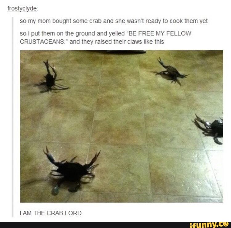 frosgyclue
so my mom bought some crab and she wasn't ready to cook them yet
SO I put mem on the ground and yefiled “BE FREE MY FELLOW
CRUSTACEANS " and mey raised lnelr ciaws Ilke mls