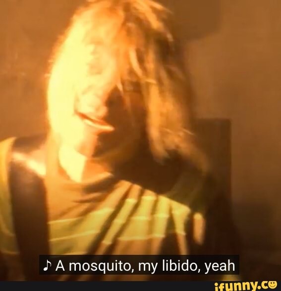 oA mosquito, my libido, yeah
