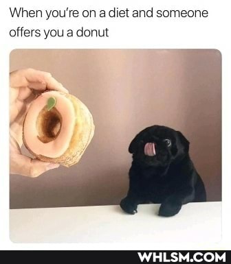 When you're on a diet and someone offers you a donut