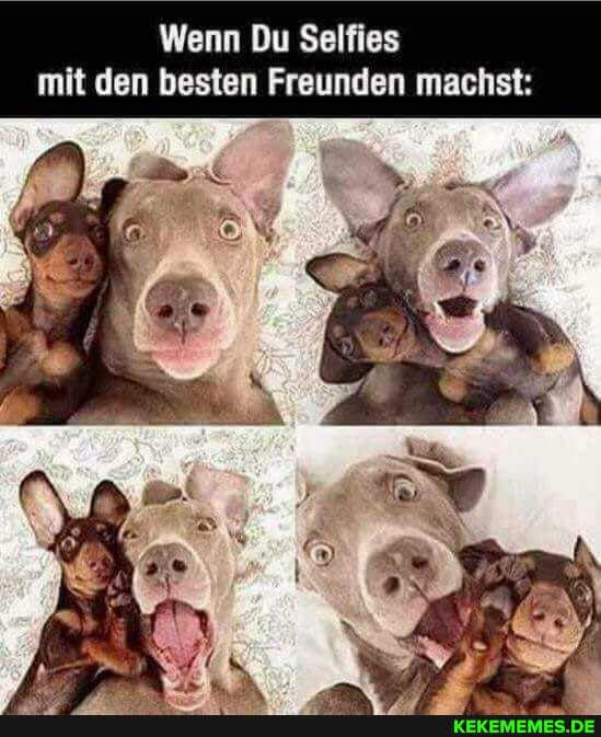 Wenn Du Selfies mit den besten Freunden machst: