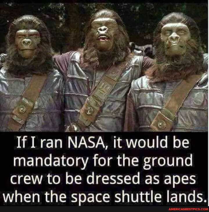 If I ran NASA, it would be mandatory for the ground crew to be dressed as apes when the emace chiittle lande.