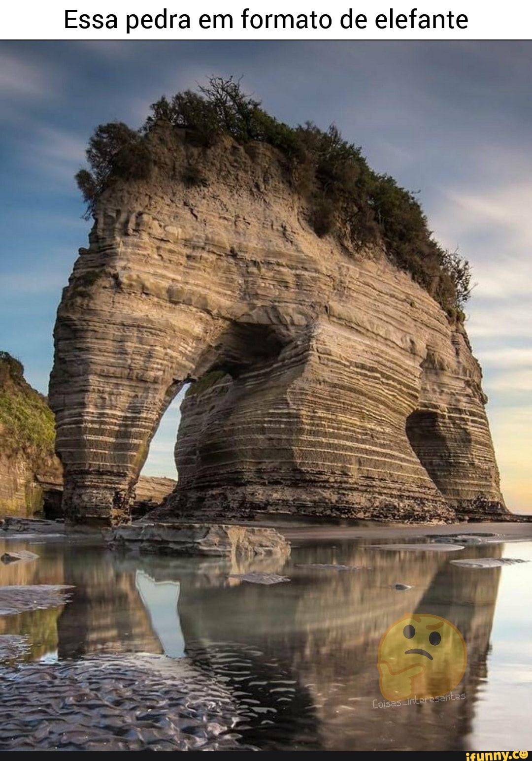 Essa pedra em formato de elefante