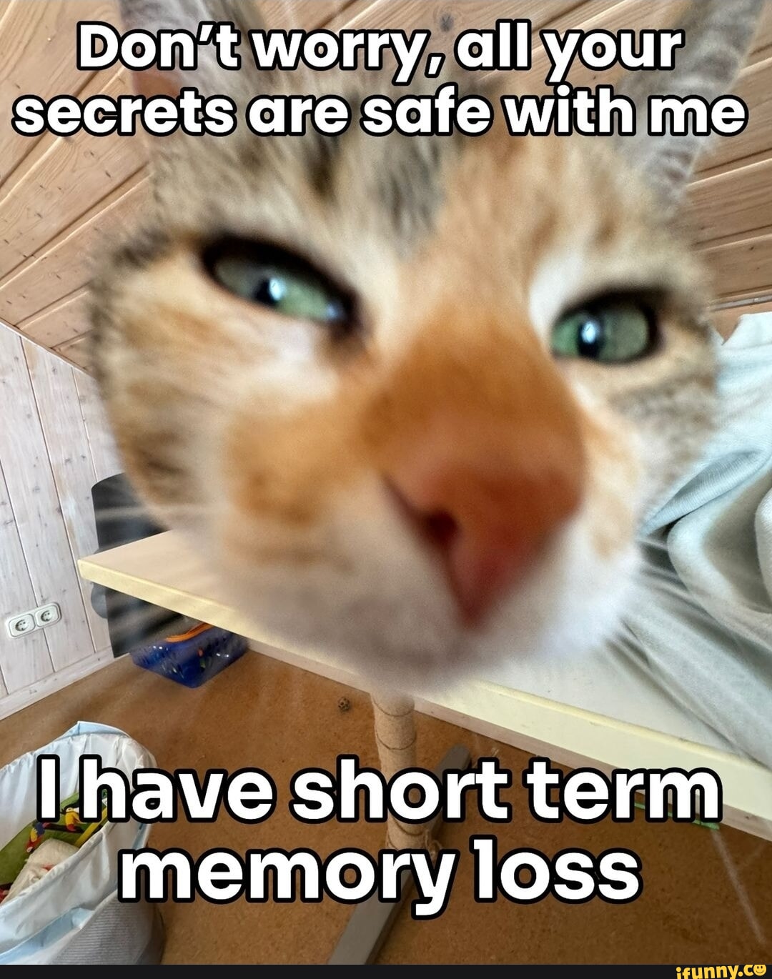 a393301b9a8eb4c6de3fd9161a5bba7dd9fb8d6073b1f9f836a3709706c9aaf2_1.jpg