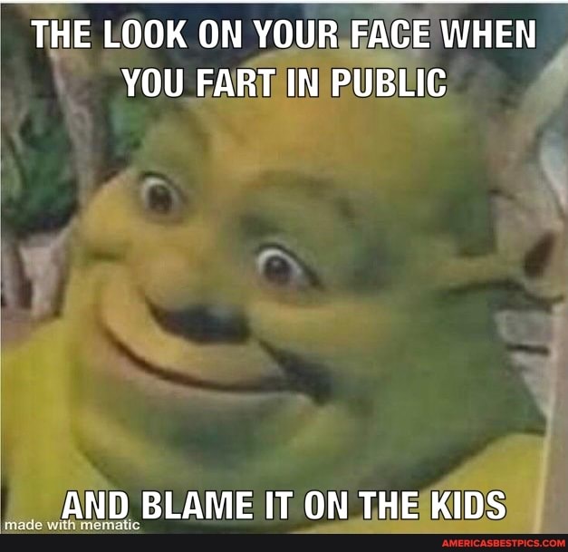 THE LOOK ON YOUR FACE WHEN YOU FART IN PUBLIC
AND BLAME IT ON THE KIDS