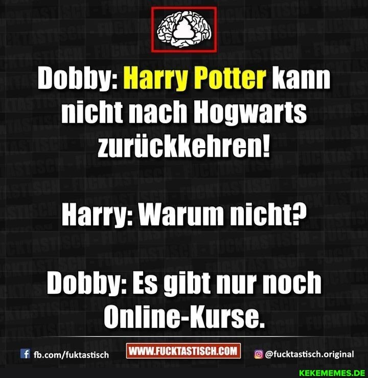 Dohhy: Harry Poiter kann nicht nach Hogwaris zurückkehren!
Harrv: Warum nicht?
Dohby: Es gibt nur noch
Online-Kurse.
/fuktactisch @fucktastisch oririna
