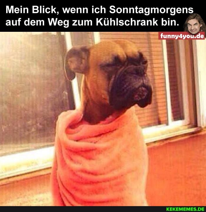 Mein Blick, wenn ich Sonntagmorgens auf dem Weg zum Kühlschrank bin.
funnyayou.de