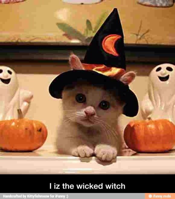 liz the wicked witch - I iz the wicked witch
