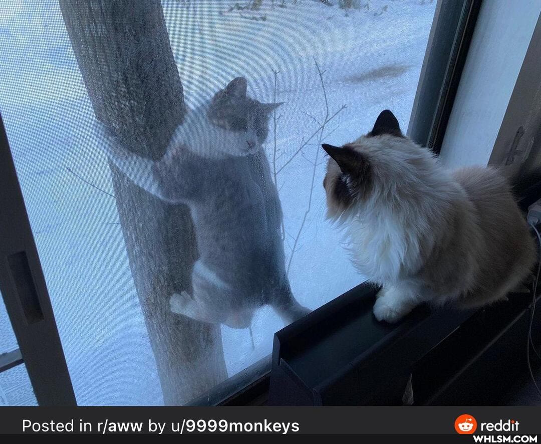 Posted in rjaww by reddit