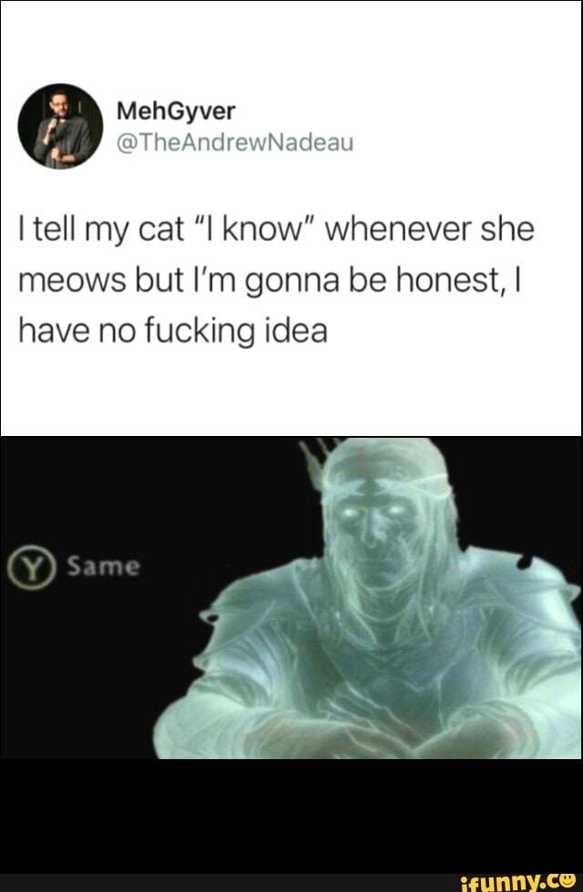 tell my cat Know" whenever she meows but I'm gonna be honest, I have no fucking idea
Same